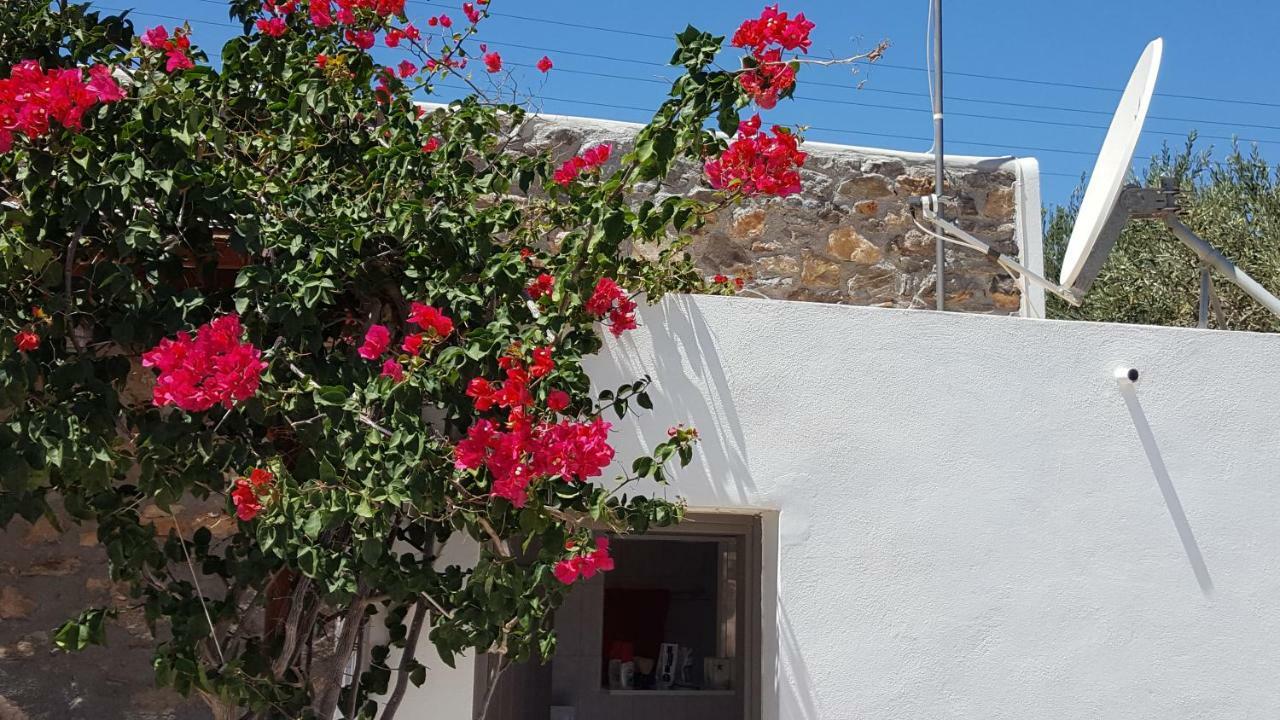 Flora'S Beach And Pool Villa In Syros Liaropá Exterior photo